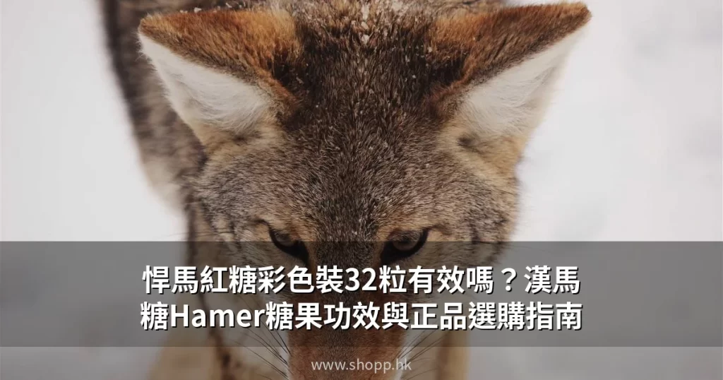 悍馬紅糖彩色裝 Hamer 糖果 32顆一盒 香港現貨正品
